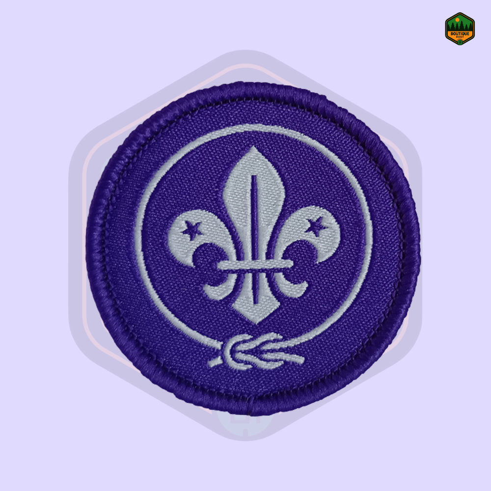 Insigne officiel OMMS