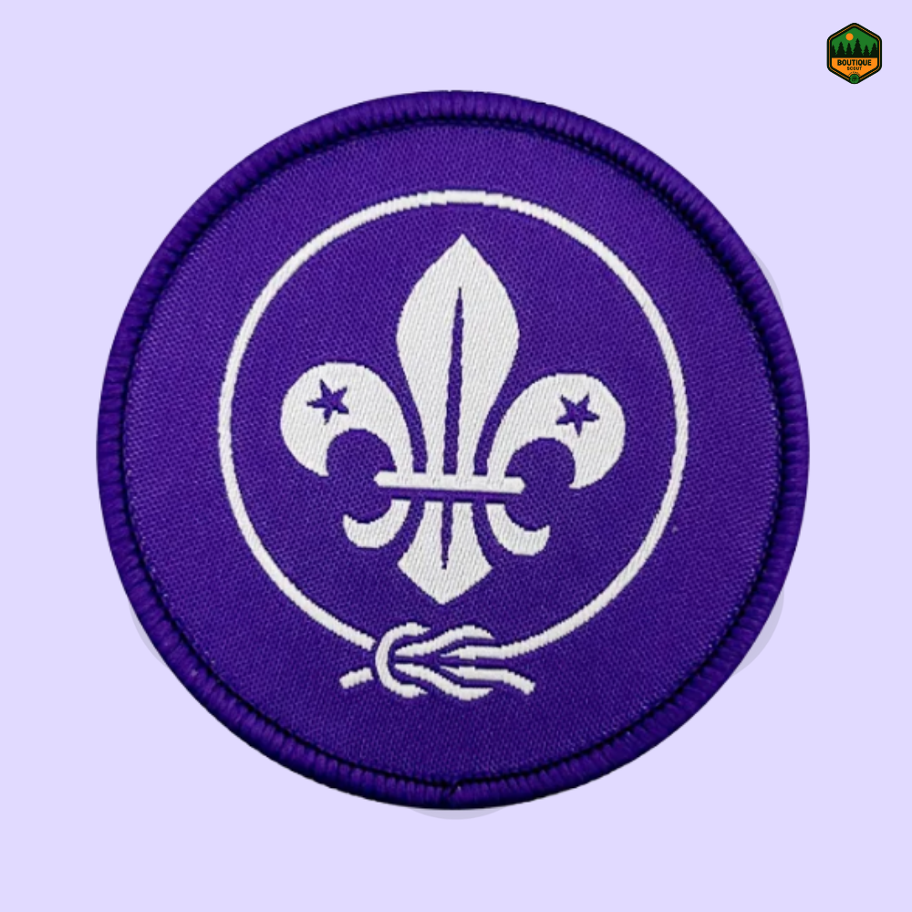 Insigne officiel OMMS